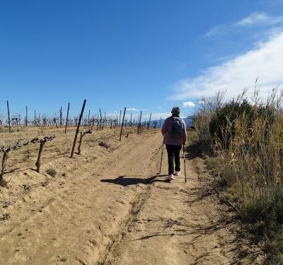 Le Circuit "Les mots du vignoble" au départ de Fourques.