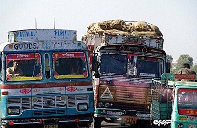 Rajasthan (14) -Udaipur (1) -Ranakpur
