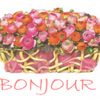 Cartonnettes - Printemps ! 2015