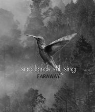 Ebook torrents download free Sad Birds Still Sing by Faraway Poetry in English CHM PDB