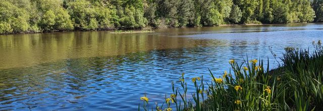 Défi reflets N° 12 / 2024