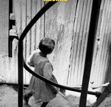 RACIMO EBOOK | DIEGO ZUÑIGA | Descargar libro PDF EPUB