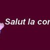 Tiot raconte sa vie de retraité - 01