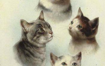 Tableau du samedi 92  : Quatuor de chats