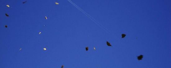 L'air et le vent, représentations