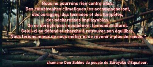  citation du  chamane Don Sabino du peuple de Sarayaku d'Equateur