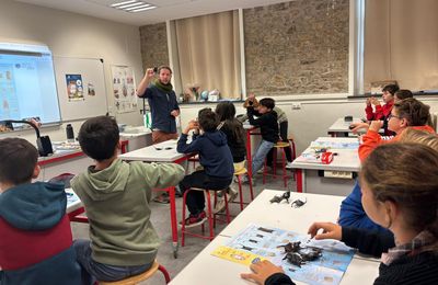 Biodiversité marine