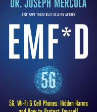 Download ebook for ipod touch free EMF*D: 5G, Wi-Fi & Cell Phones: Hidden Harms and How to Protect Yourself  English version by Joseph Mercola 9781401958756