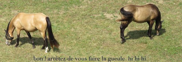 photos plaisir ... hi hi hi