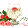 signatureanimee,verre