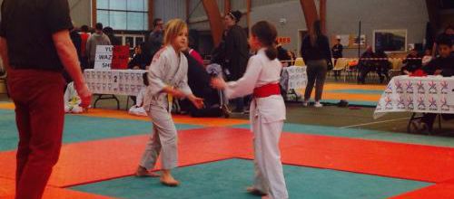 judo