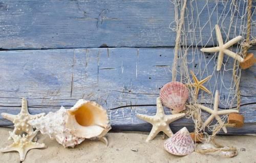 Le temps des coquillages, les règles de la plage