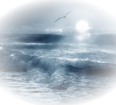 🌹 Bon voyage z'avec Marinette 🌹