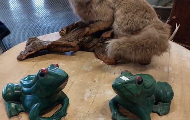 Le renard et les grenouilles...