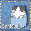 gif animé, blinkie,BONJOUR