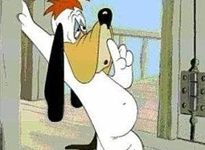 Appel à la population