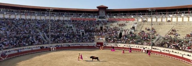 Ma première corrida : "Pour moi, une expérience  d’un autre temps"