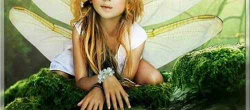 Bon jeudi à tous