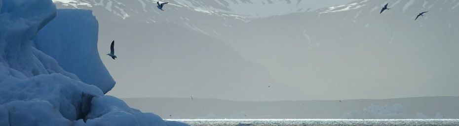 Islande -  Le Jökulsárlón