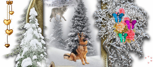 CADRE ANIMAUX MUSIQUE
