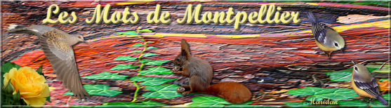 Espoir...
