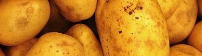 Recette vegan. Pommes de terre écrasées à l’aïoli aux avocats