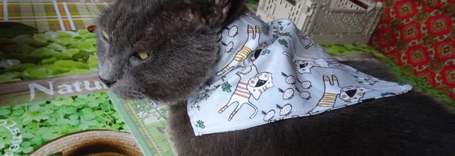 Propriétaire & ardoisier