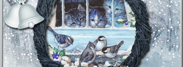  Neige et Oiseaux du ciel