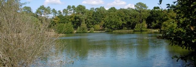 Une balade autour de l'Etang d'Ous Pins à TARTAS (40), le 30 septembre (suite)...