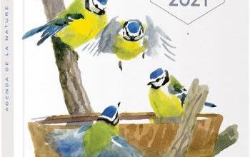 Agenda de la natuire au jardin 2021