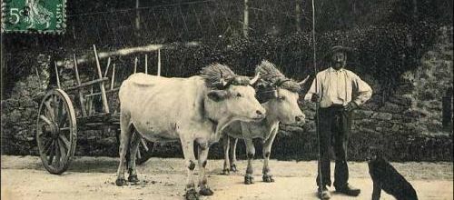 L'histoires des Galvachers du Morvan