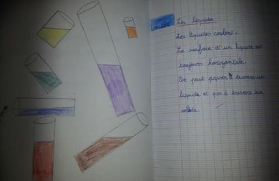 découverte du monde en CE1