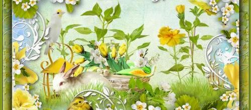  QP de printemps .