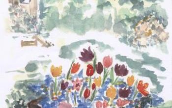 LA TULIPE