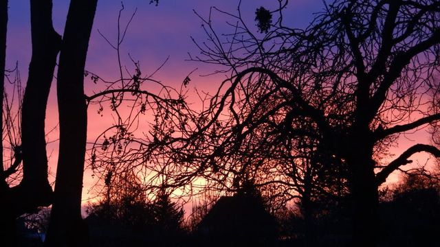 Les Fleurs de la Fin de Semaine