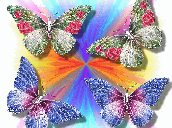 Papillons de lumière