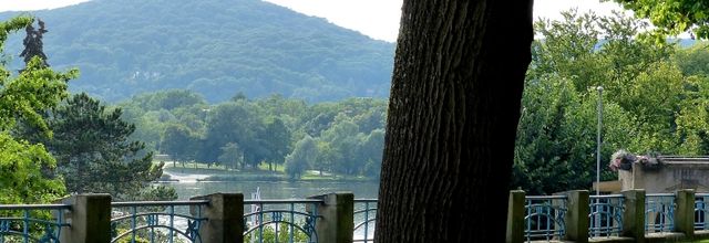 Metz / Les rameurs du plan d'eau...