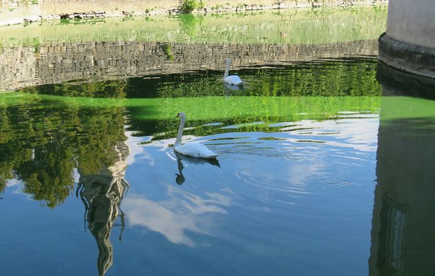 Défi reflets N°2 / 2025