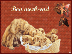 Bon week-end à tous