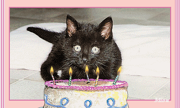 Bon anniversaire Béa Kimcat