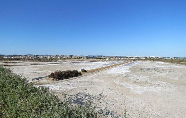 Ilha de Tavira-Portugal  4/4