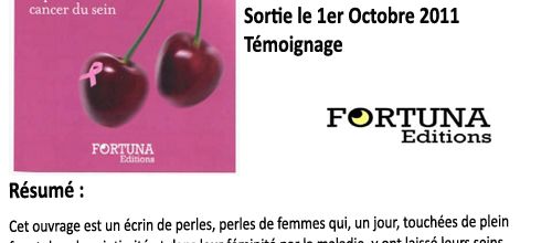 Histoires de seins, Collectif Saint-Sein