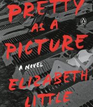 [Pdf/ePub] Pretty as a Picture: A Novel by Elizabeth Little download ebook