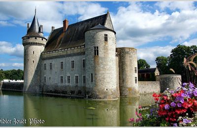45 . Loiret - Sully sur Loire (1) - Château de Sully sur Loire
