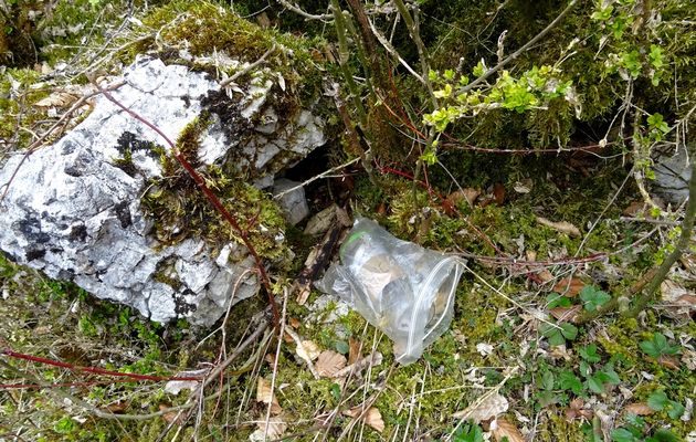Le geocaching