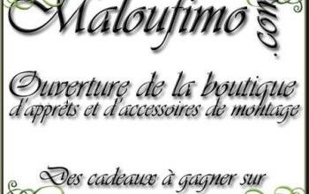 Ouverture de la boutique de Maloufimo