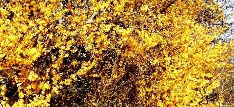 Nature et photographie en Méli-Mélo