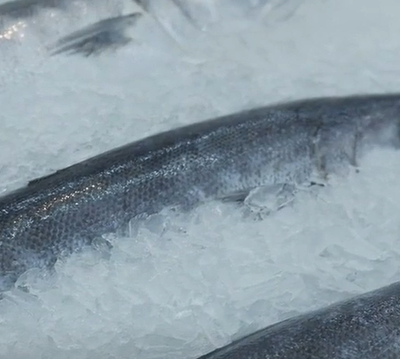 Cerveau en forme : les aliments à éviter selon Veedz