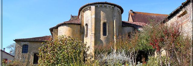1040 - Pimbo dans les Landes (40)