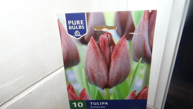 En Automne, on Pense au Printemps à Venir
